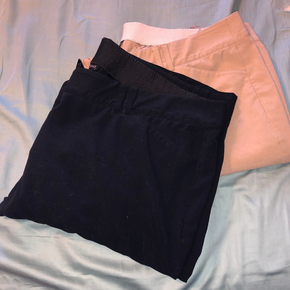 Lane Bryant Dress Pants